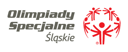 OR Śląskie